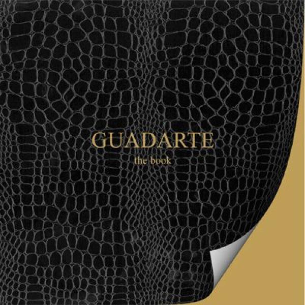 Guadarte Ambientes the book