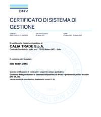 Сертификат подлинности качества Calia Italia