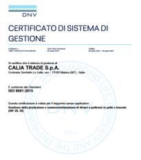Сертификат подлинности качества Calia Italia