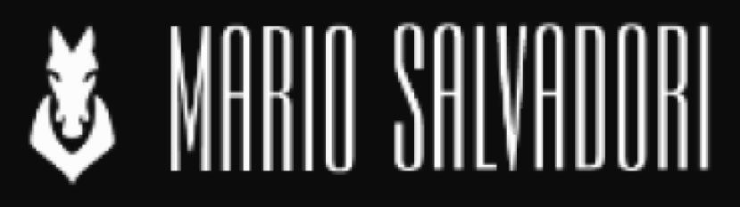 Mario Salvadori