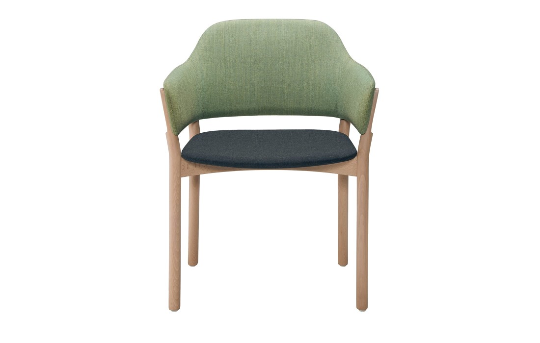 Стул от фабрики Livoni 1895 модель Gap 497 Green Chair