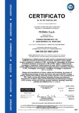 Сертификат подлинности качества Pedrali