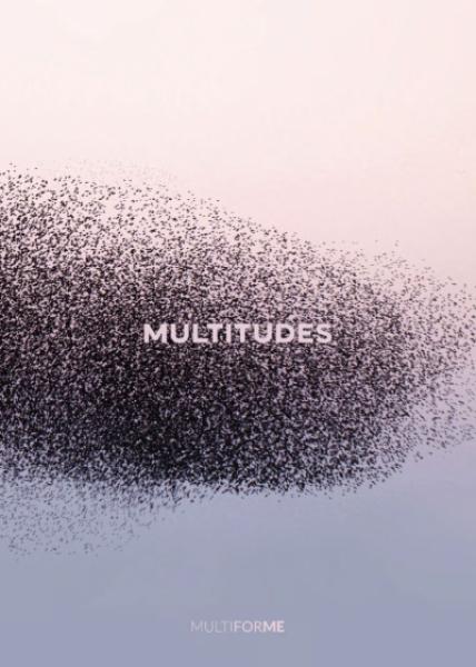 Multitudes 2024 (it, en)‎