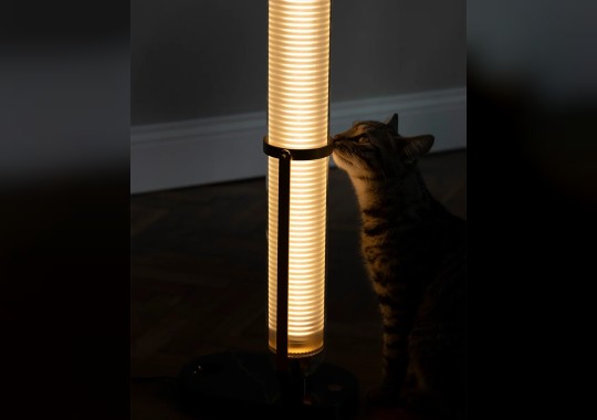 Настольная лампа модель La Lampe Frechin Table Lamp от фабрики DCW Editions image 5