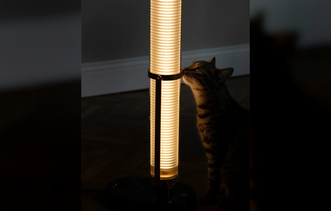 Настольная лампа DCW Editions - La Lampe Frechin Table Lamp