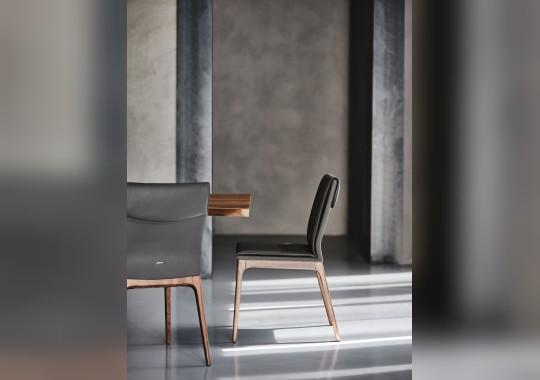 Стул Sofia от Cattelan Collection 2019
