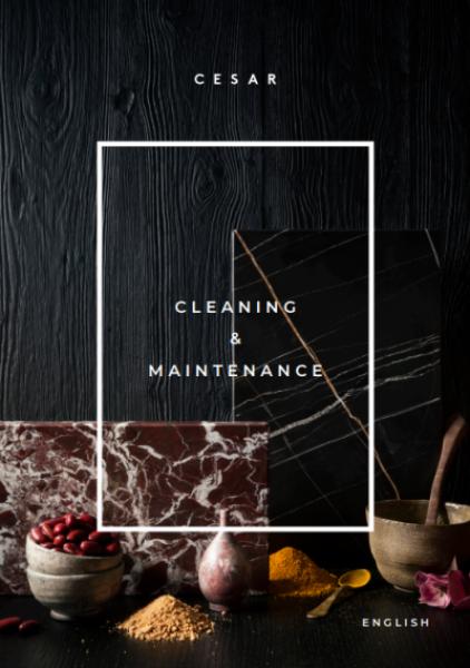 Cleaning & Maintenance