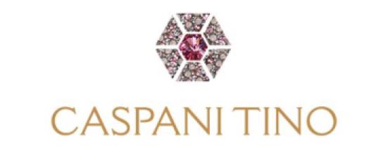 Логотип фабрики Caspani Tino