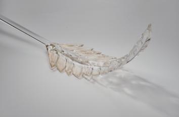 Фотографии образцов отделок и возможных цветов фабрики Patrizia Volpato