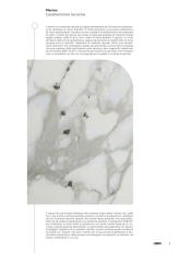 Фотографии образцов отделок и возможных цветов фабрики Lema Mobili