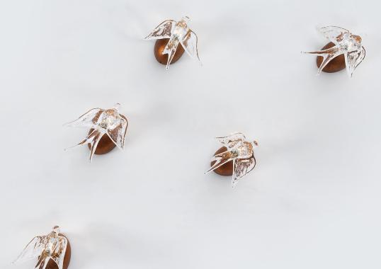 Бра модель Voa Tytleri Small от фабрики Serip