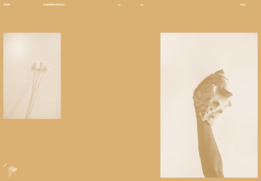 Tooy company profile (en)‎