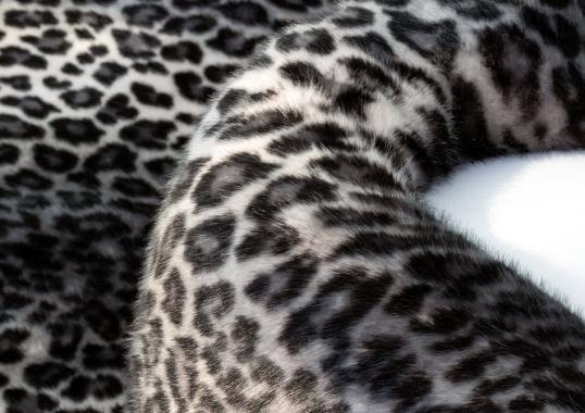 Диван от фабрики Poltronova модель Safari 