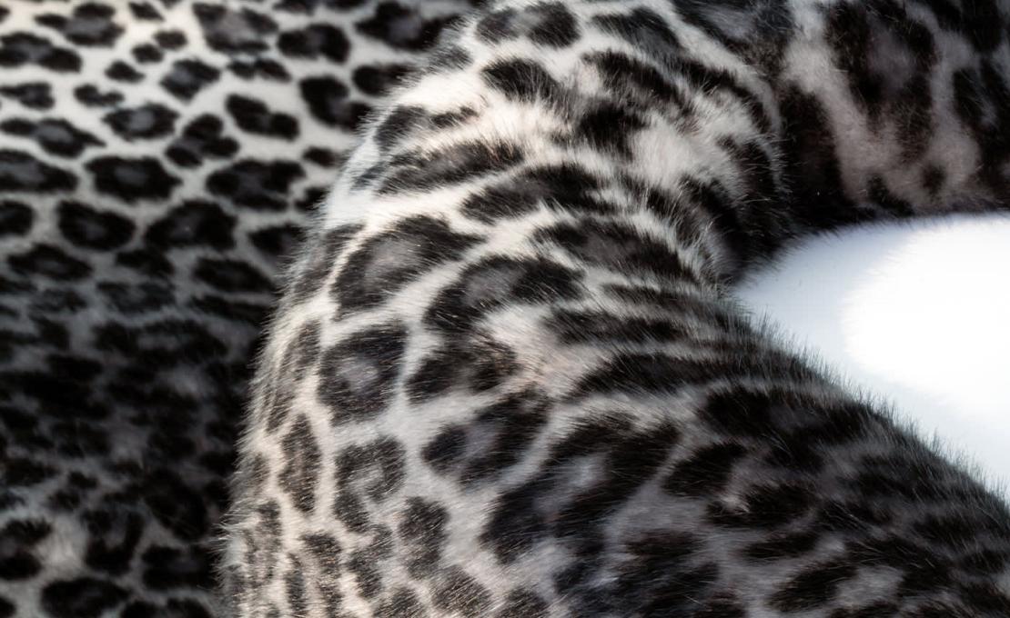 Диван от фабрики Poltronova модель Safari 