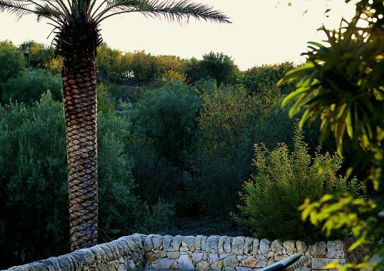 Шезлонг уличный Roda MST104-01 image 4