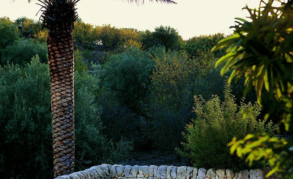 Шезлонг уличныйот фабрики Roda модель MST104-01