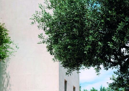 Кресло уличное Roda NAP082 image 3