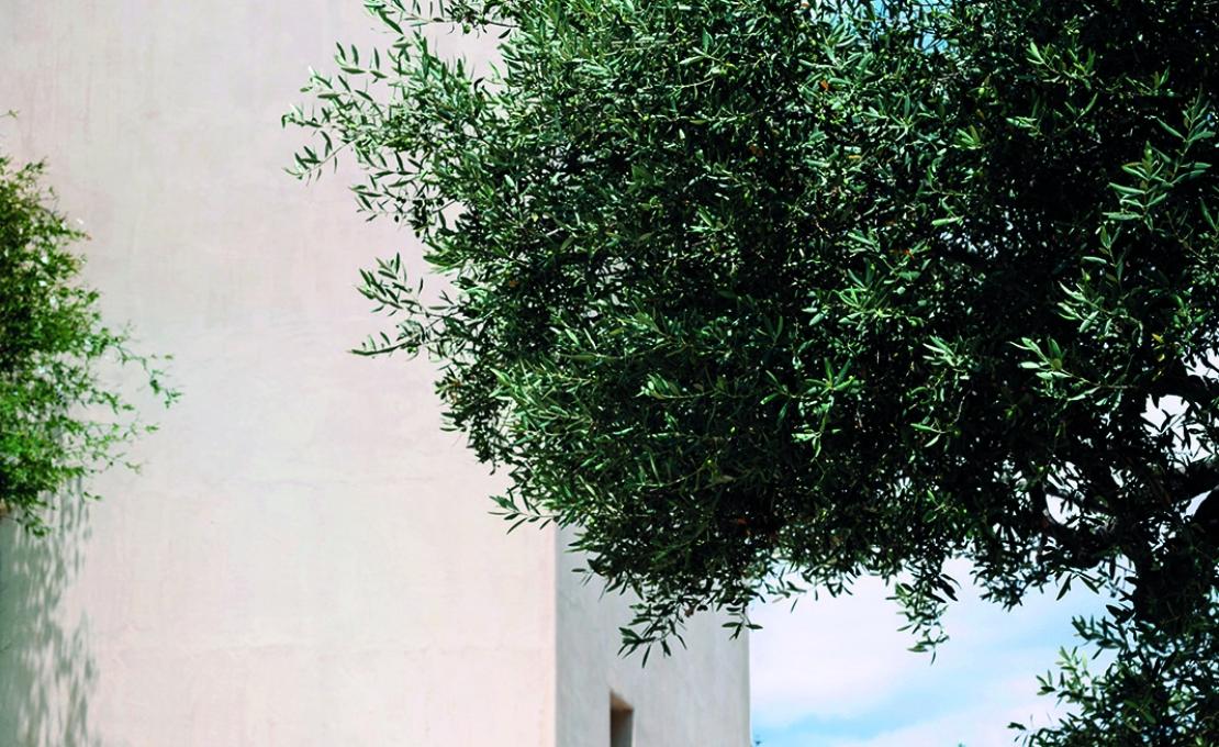 Уличное кресло от фабрики Roda модель NAP082