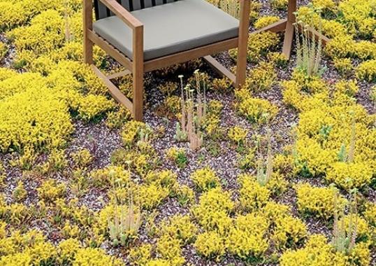 Уличное кресло от фабрики Roda модель NTW168-01