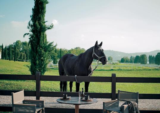 Уличный стул от фабрики Roda модель ORS001-01