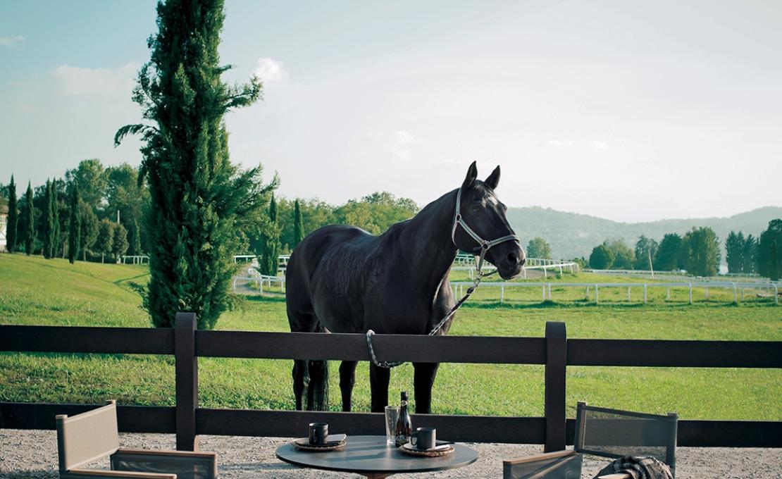 Уличный стул от фабрики Roda модель ORS001-01