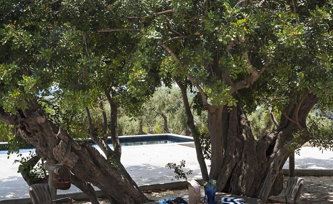 Уличное кресло от фабрики Roda модель PPR221