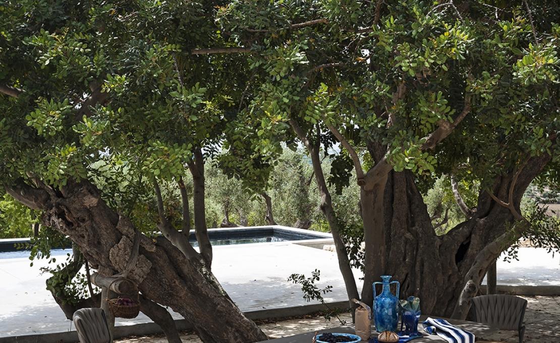 Уличный стул от фабрики Roda модель PPR220