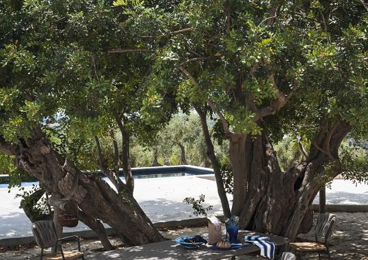 Уличный стол Roda PPR030 image 5