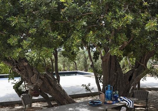 Уличный стол Roda PPR030 image 6