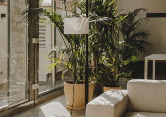 Торшер Santa&Cole TMMSA image 4