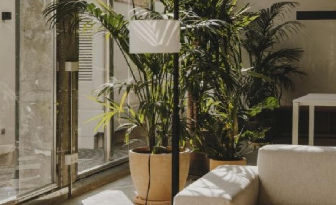 Торшер от фабрики Santa&Cole модель TMMSA